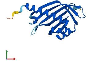 AlphaFold protein structure predicition of Human Recombinant NXT2 Protein, UniprotID Q9NPJ8