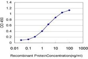 Detection limit for recombinant GST tagged MAP4K4 is approximately 0. (MAP4K4 antibody  (AA 611-710))