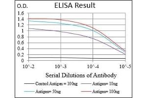 Black line: Control Antigen (100 ng), Purple line: Antigen(10 ng), Blue line: Antigen (50 ng), Red line: Antigen (100 ng),