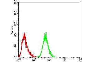 Flow cytometric analysis of HepG2 cells using RF1 mouse mAb (green) and negative control (red). (MTRF1 antibody  (AA 288-437))