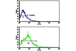 Flow cytometric analysis of HL-60 cells using BACE2 polyclonal antibody (bottom histogram) compared to a negative control cell (top histogram). (BACE2 antibody  (Internal Region))