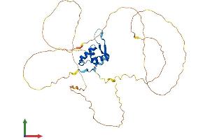 Protein Structure (PS) image for Forkhead Box F1 (FOXF1) (AA 1-379) protein (His tag) (ABIN7547711)