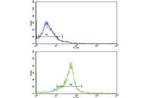 Flow Cytometry (FACS) image for anti-Wingless-Type MMTV Integration Site Family, Member 5B (WNT5B) (AA 153-182) antibody (ABIN3029636)