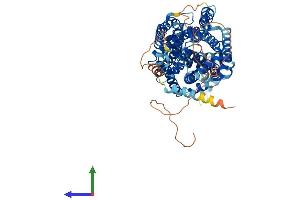 AlphaFold protein structure predicition of Human Recombinant SLC6A15 Protein, UniprotID Q9H2J7 (SLC6A15 Protein (AA 1-730) (His tag))