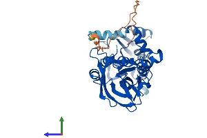 AlphaFold protein structure predicition of Mouse Recombinant Prmt6 Protein, UniprotID Q6NZB1 (PRMT6 Protein (AA 1-378) (His tag))