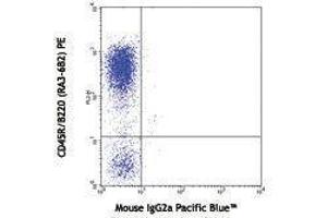 Flow Cytometry (FACS) image for anti-SLAM Family Member 6 (SLAMF6) antibody (Pacific Blue) (ABIN2662362) (SLAMF6 antibody  (Pacific Blue))