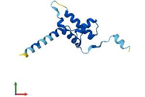 AlphaFold protein structure predicition of Mouse Recombinant Cdkn2aipnl Protein, UniprotID Q9D211