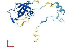 Protein Structure (PS) image for Endogenous Retrovirus Group K, Member 25 (ERVK-25) (AA 1-156) protein (His tag) (ABIN7545161)