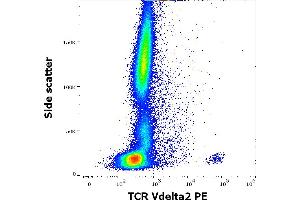 Flow cytometry surface staining pattern of human peripheral whole blood stained using anti-human TCR Vdelta2 (B6) PE antibody (10 μL reagent / 100 μL of peripheral whole blood). (TCR, V delta 2 antibody (PE))