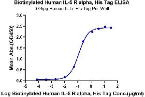 Immobilized Human IL-5, His Tag at 0. (IL5RA Protein (AA 21-335) (His-Avi Tag,Biotin))