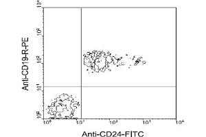Flow Cytometry (FACS) image for anti-CD24 Molecule (CD24) antibody (FITC) (ABIN371110) (CD24 antibody  (FITC))