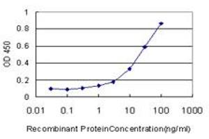 Detection limit for recombinant GST tagged NR1D1 is approximately 1ng/ml as a capture antibody. (NR1D1 antibody  (AA 1-614))