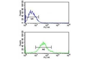 G6PD antibody flow cytometric analysis of MCF-7 cells (green) compared to a negative control (blue). (Glucose-6-Phosphate Dehydrogenase antibody  (AA 297-326))