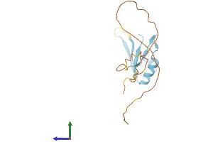 AlphaFold protein structure predicition of Mouse Recombinant Rbm3 Protein, UniprotID O89086