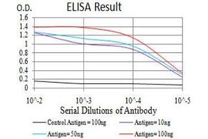 Black line: Control Antigen (100 ng),Purple line: Antigen (10 ng), Blue line: Antigen (50 ng), Red line:Antigen (100 ng) (HDAC6 antibody  (AA 482-800))