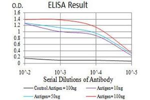 Black line: Control Antigen (100 ng),Purple line: Antigen (10 ng), Blue line: Antigen (50 ng), Red line:Antigen (100 ng) (HDAC6 antibody  (AA 482-800))