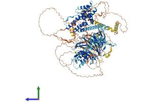 Protein Structure (PS) image for rho Guanine Nucleotide Exchange Factor (GEF) 10 (ARHGEF10) (AA 1-1345) protein (His tag) (ABIN7564480)