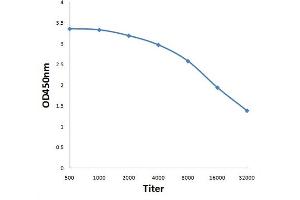 Antigen: 0. (H13 antibody  (AA 251-350))