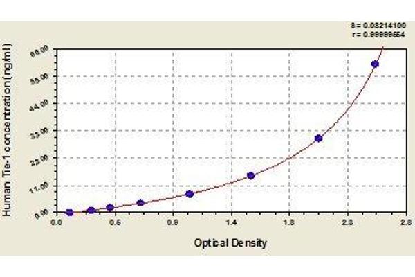 TIE1 ELISA Kit