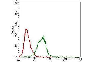Flow cytometric analysis of A431 cells using DAPK3 mouse mAb (green) and negative control (red). (DAPK3 antibody  (AA 28-161))