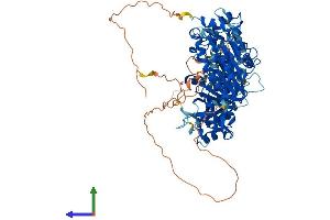 Protein Structure (PS) image for NOP2/Sun Domain Family, Member 2 (NSUN2) (AA 1-767) protein (His tag) (ABIN7554810)