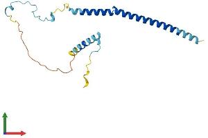 Protein Structure (PS) image for PDGFA Associated Protein 1 (PDAP1) (AA 1-181) protein (His tag) (ABIN7548237)