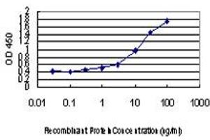 Detection limit for recombinant GST tagged RAPGEF4 is approximately 0. (RAPGEF4 antibody  (AA 1-110))