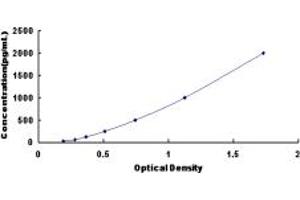 Typical standard curve (OLR1 ELISA Kit)