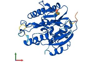 AlphaFold protein structure predicition of Mouse Recombinant Ddah2 Protein, UniprotID Q99LD8 (DDAH2 Protein (AA 1-285) (His tag))