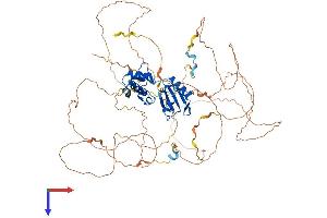 La Ribonucleoprotein Domain Family, Member 4 (LARP4) (AA 1-724) protein (His tag)