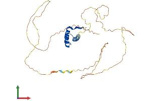 AlphaFold protein structure predicition of Mouse Recombinant Hoxc13 Protein, UniprotID P50207