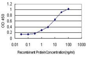 Detection limit for recombinant GST tagged KIFC1 is approximately 1ng/ml as a capture antibody. (KIFC1 antibody  (AA 53-152))