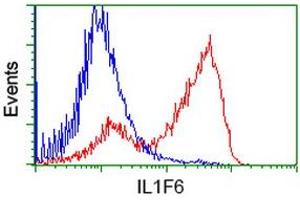 HEK293T cells transfected with either RC219328 overexpress plasmid (Red) or empty vector control plasmid (Blue) were immunostained by anti-IL1F6 antibody (ABIN2453184), and then analyzed by flow cytometry. (IL36A/IL1F6 antibody)
