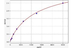 Typical standard curve (CD80 ELISA Kit)