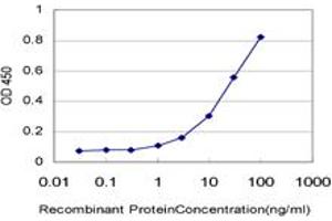 Detection limit for recombinant GST tagged G10 is approximately 1ng/ml as a capture antibody. (BUD31 antibody  (AA 35-144))