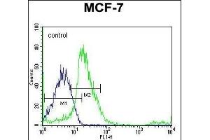 SRC Antibody (N-term) flow cytometric analysis of MCF-7 cells (right histogram) compared to a negative control cell (left histogram).