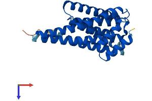 AlphaFold protein structure predicition of Human Recombinant YWHAG Protein, UniprotID P61981