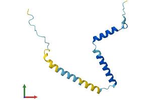 AlphaFold protein structure predicition of Mouse Recombinant Fam32a Protein, UniprotID Q9CR80 (FAM32A Protein (AA 1-112) (His tag))