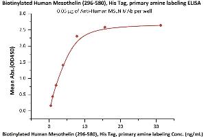 ELISA image for Mesothelin (MSLN) (AA 296-580) (Active) protein (His tag,Biotin) (ABIN2444164)