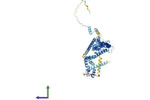 AlphaFold protein structure predicition of Human Recombinant DNAJC2 Protein, UniprotID Q99543 (DNAJC2 Protein (AA 1-621) (His tag))