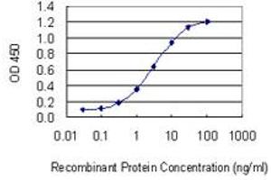 Detection limit for recombinant GST tagged GGT1 is 0. (GGT1 antibody  (AA 381-470))