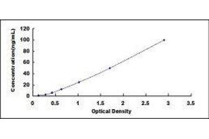 phosphoenolpyruvate Carboxykinase 2 (Mitochondrial) (PEPCK) ELISA Kit