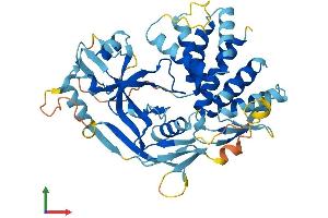 AlphaFold protein structure predicition of Mouse Recombinant Gsdma2 Protein, UniprotID Q32M21 (Gasdermin A2 Protein (GSDMA2) (AA 1-443) (His tag))
