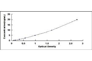 Typical standard curve (ENPP7 ELISA Kit)