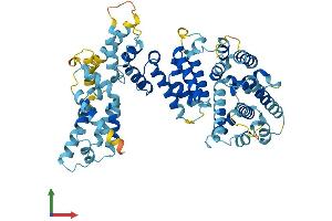 AlphaFold protein structure predicition of Human Recombinant FANCC Protein, UniprotID Q00597