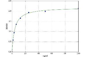 A typical standard curve (IKBKB ELISA Kit)