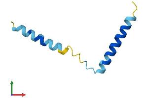 Protein Structure (PS) image for Small EDRK-Rich Factor 2 (SERF2) (AA 1-59) protein (Fc Tag) (ABIN7545973)