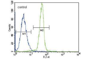 Flow Cytometry (FACS) image for anti-Leptin Receptor (LEPR) antibody (ABIN3002526) (Leptin Receptor antibody)