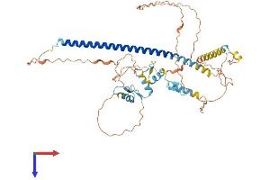 AlphaFold protein structure predicition of Human Recombinant ZNF212 Protein, UniprotID Q9UDV6