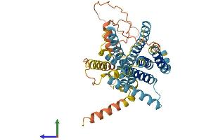 AlphaFold protein structure predicition of Human Recombinant VN1R2 Protein, UniprotID Q8NFZ6 (VN1R2 Protein (AA 1-395) (His tag))